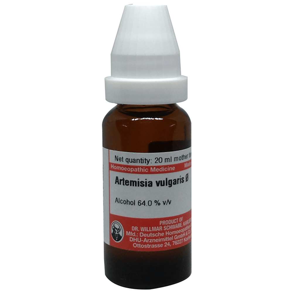 Dr Willmar Schwabe Germany Artemisia Vulgaris Mother Tincture Q bottle of 20 ml Mother Tincture