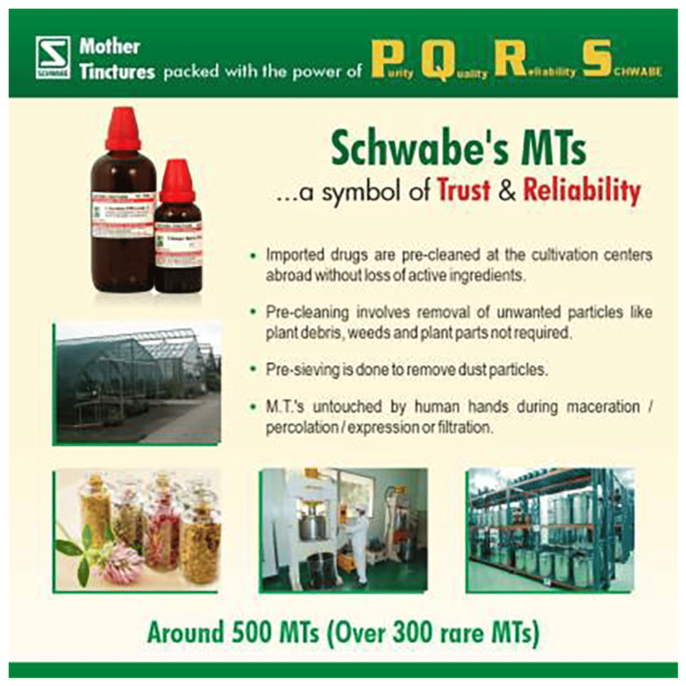 Dr Willmar Schwabe India Arnica Montana Mother Tincture Q bottle of 30 ml Mother Tincture Dr Willmar Schwabe India Arnica Montana Mother Tincture Q bottle of 30 ml Mother Tincture