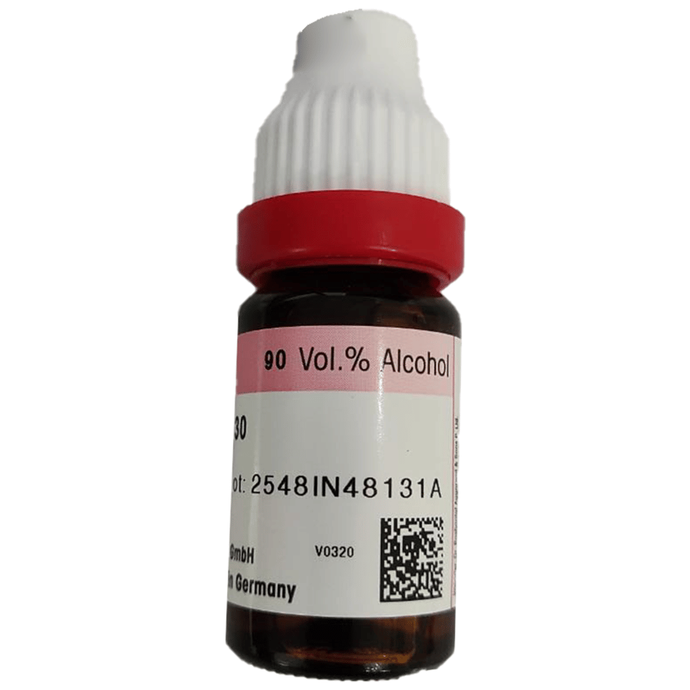 Dr. Reckeweg Carbo Vegetabilis Dilution 30 CH bottle of 11 ml Dilution Dr. Reckeweg Carbo Vegetabilis Dilution 30 CH bottle of 11 ml Dilution