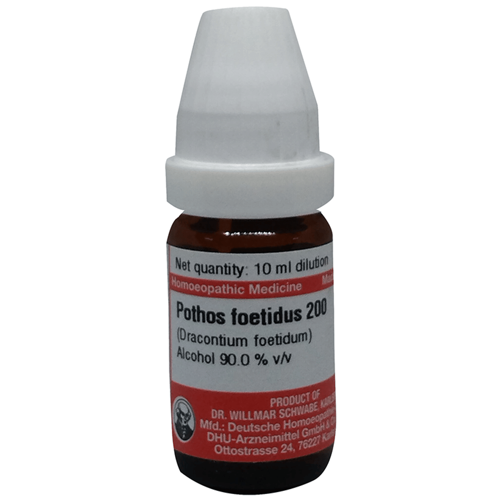 Dr Willmar Schwabe Germany Pothos Foetidus Dilution 200 bottle of 10 ml Dilution