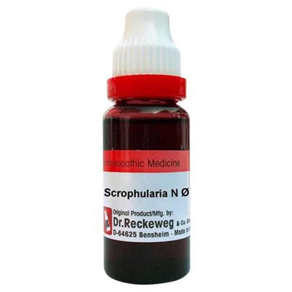 Dr. Reckeweg Scrophularia N Mother Tincture Q bottle of 20 ml Mother Tincture Dr. Reckeweg Scrophularia N Mother Tincture Q bottle of 20 ml Mother Tincture