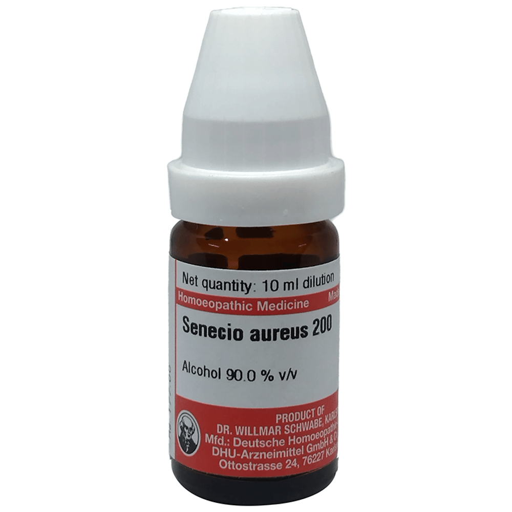 Dr Willmar Schwabe Germany Senecio Aureus Dilution 200 bottle of 10 ml Dilution