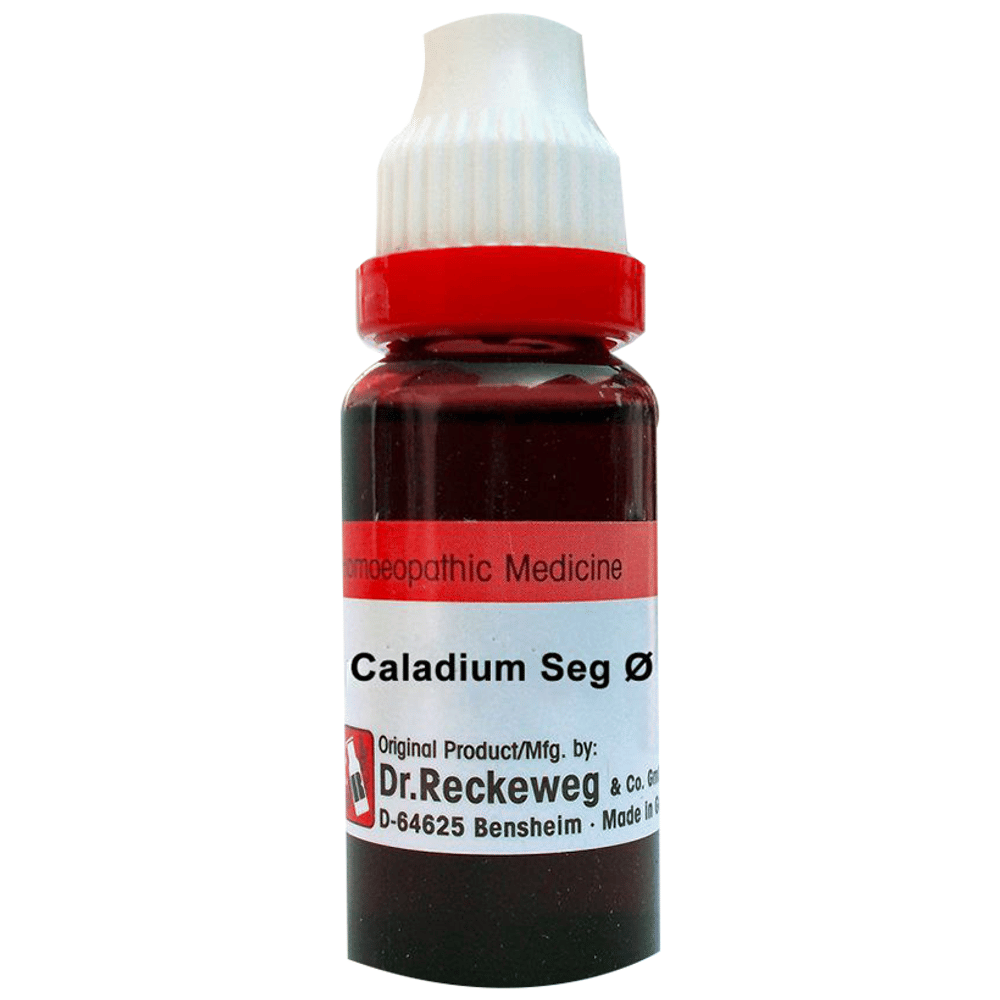 Dr. Reckeweg Caladium Seg Mother Tincture Q bottle of 20 ml Mother Tincture