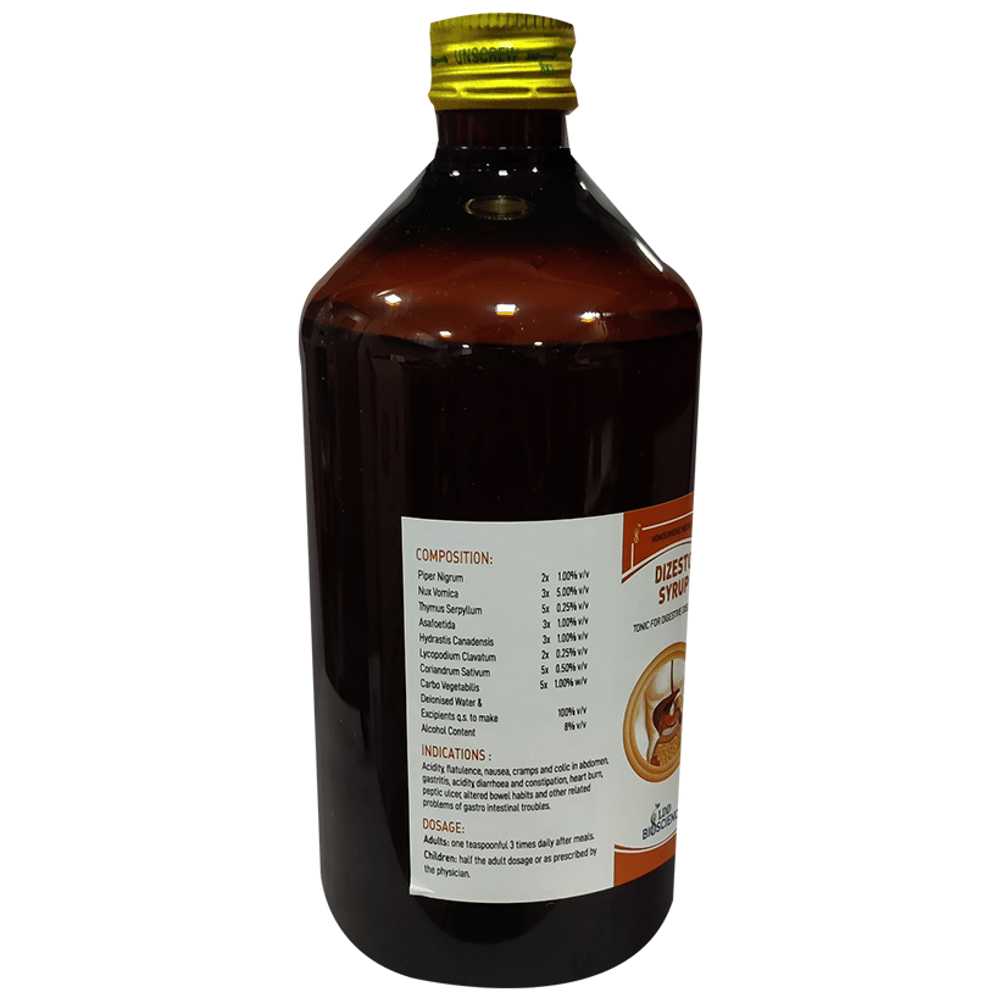 LDD Bioscience Dizesto Syrup bottle of 450 ml Syrup