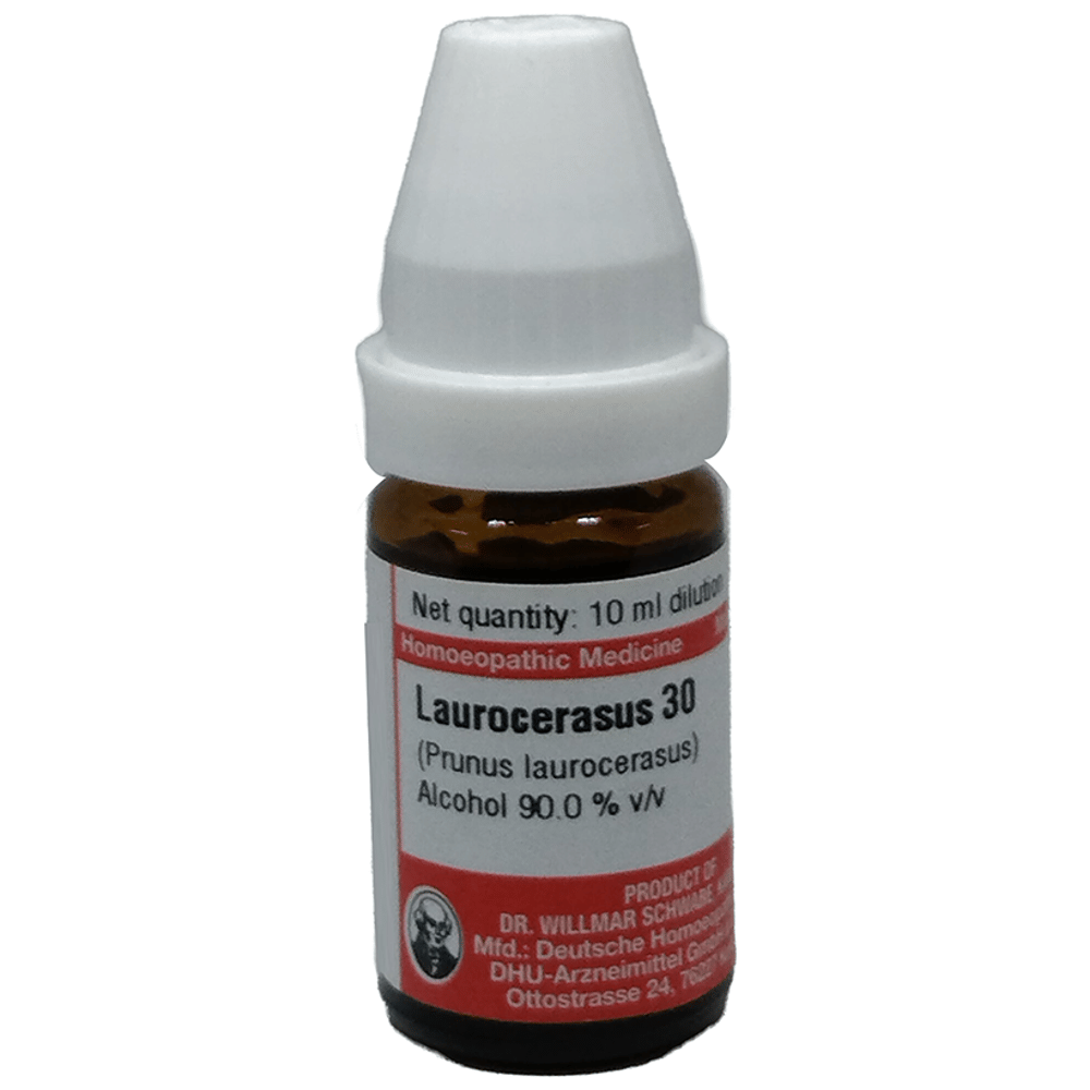 Dr Willmar Schwabe Germany Laurocerasus (Prunus Laurocerasus) Dilution 30 bottle of 10 ml Dilution