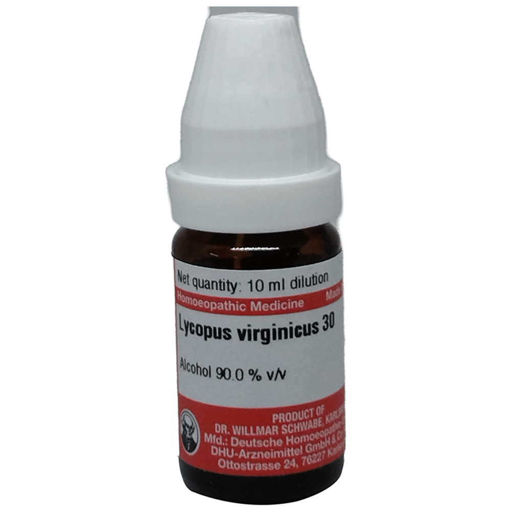 Dr Willmar Schwabe Germany Lycopus Virginicus Dilution 30 bottle of 10 ml Dilution