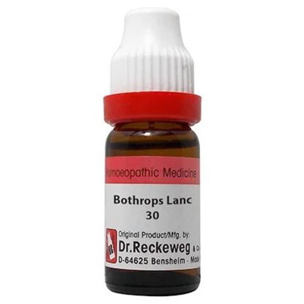 Dr. Reckeweg Bothrops Lanc Dilution 30 CH bottle of 11 ml Dilution Dr. Reckeweg Bothrops Lanc Dilution 30 CH bottle of 11 ml Dilution