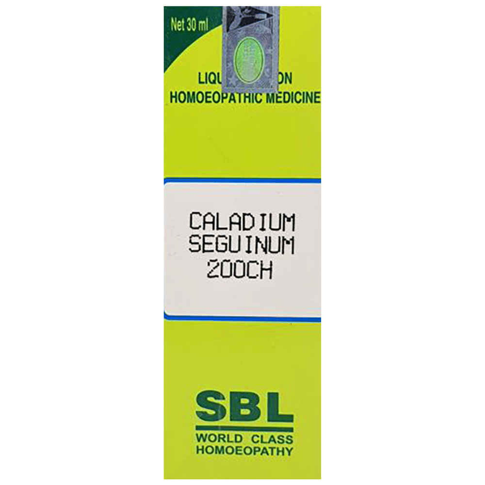 SBL Rhus Toxicodendron Dilution 200 CH bottle of 30 ml Dilution SBL Rhus Toxicodendron Dilution 200 CH bottle of 30 ml Dilution