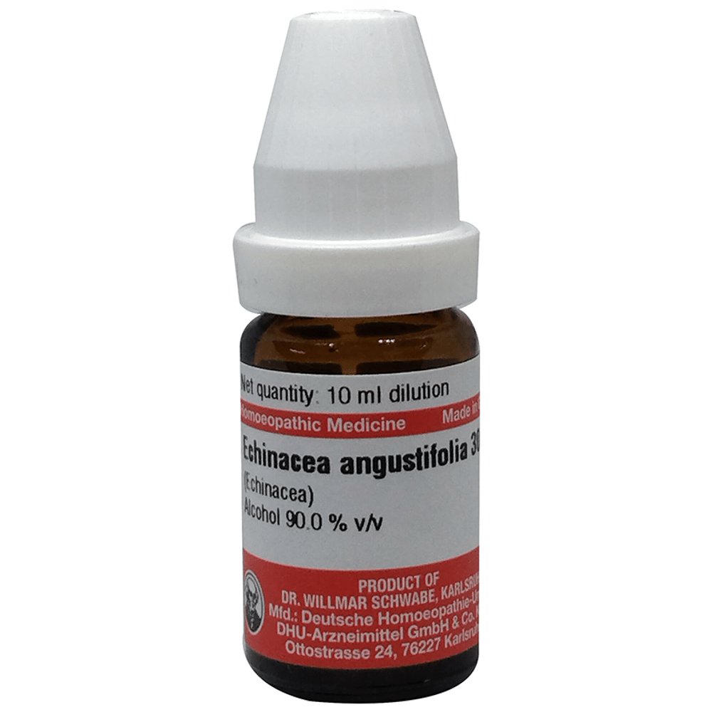 Dr Willmar Schwabe Germany Echinacea Angustifolia Dilution 30 bottle of 10 ml Dilution