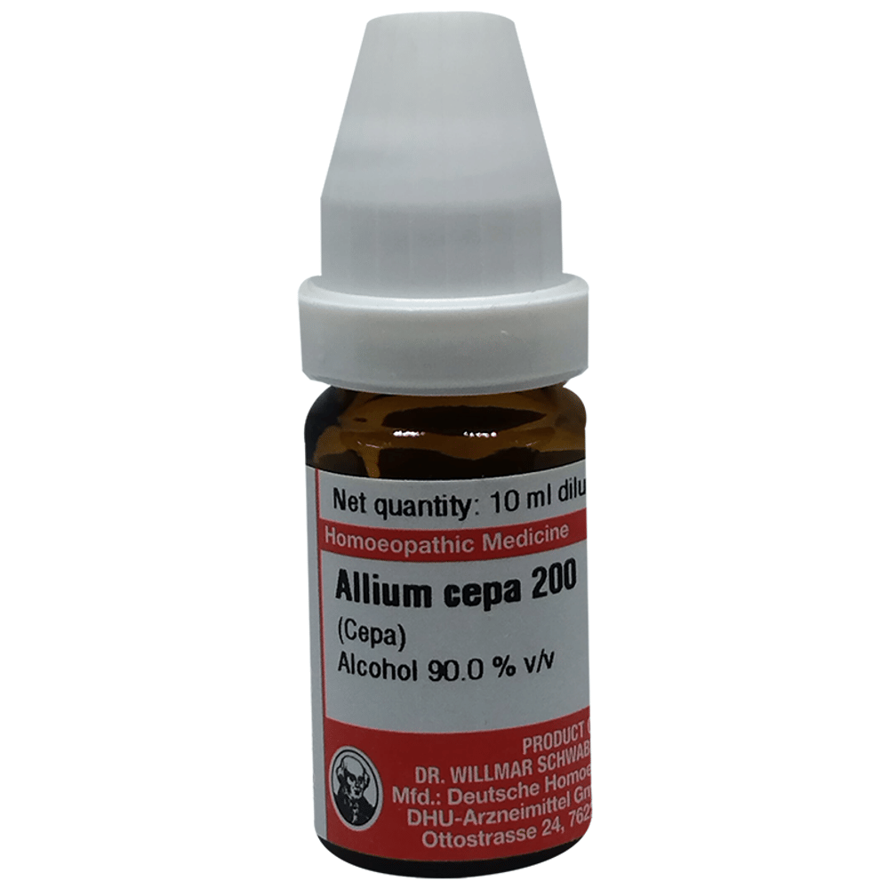Dr Willmar Schwabe Germany Allium Cepa (Cepa) Dilution 200 bottle of 10 ml Dilution