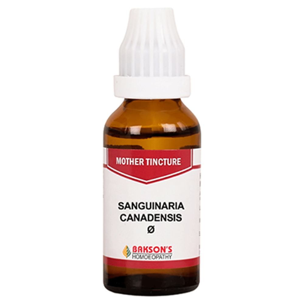 Bakson's Homeopathy Sanguinaria Canadensis Mother Tincture Q bottle of 30 ml Mother Tincture Bakson's Homeopathy Sanguinaria Canadensis Mother Tincture Q bottle of 30 ml Mother Tincture