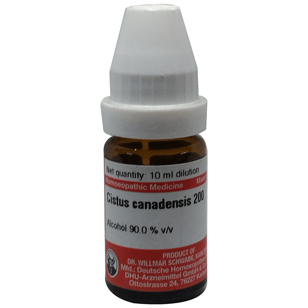 Dr Willmar Schwabe Germany Cistus Canadensis Dilution 200 bottle of 10 ml Dilution