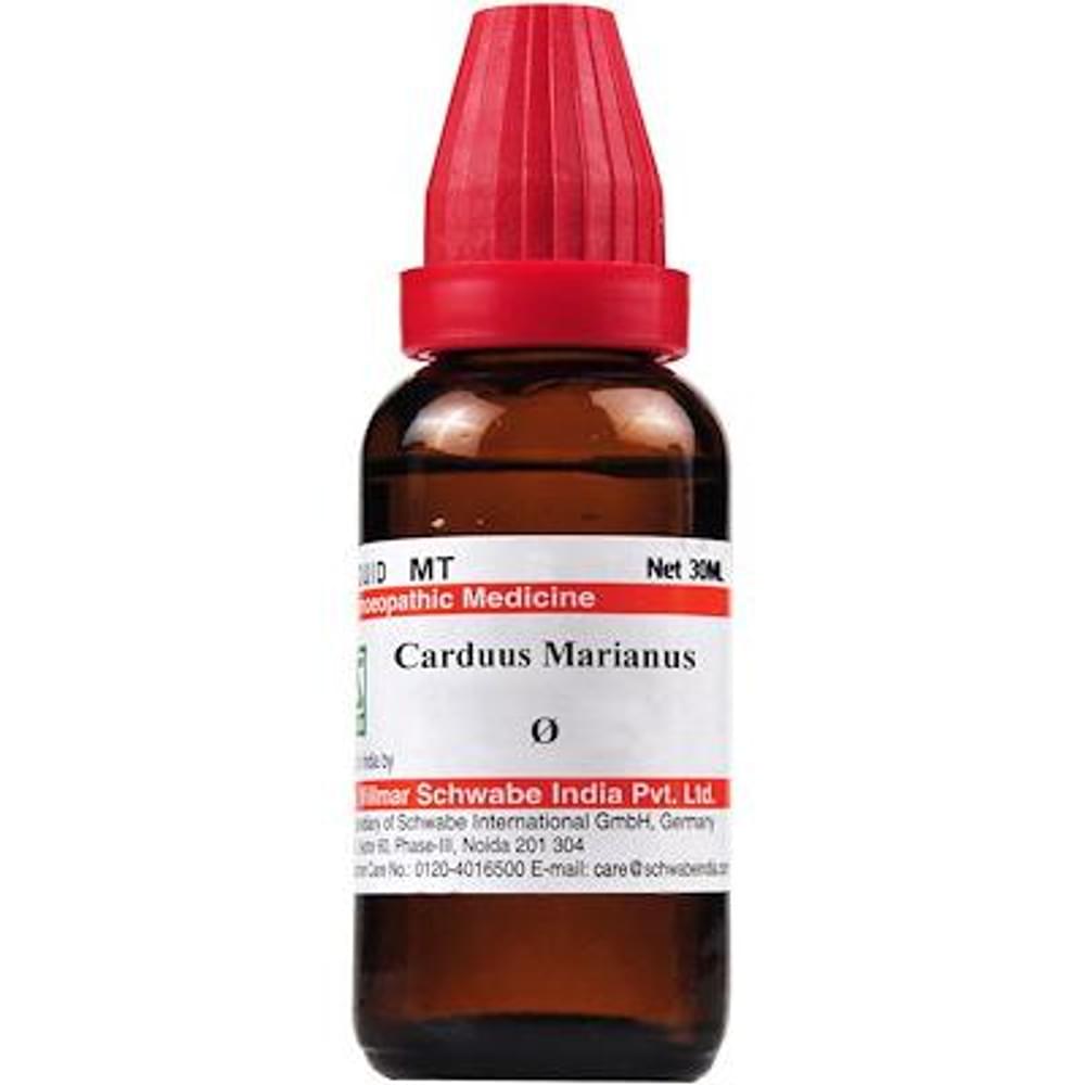 Dr Willmar Schwabe India Carduus Marianus Mother Tincture Q bottle of 30 ml Mother Tincture