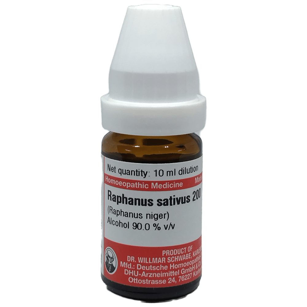 Dr Willmar Schwabe Germany Raphanus Sativus (Raphanus Niger) Dilution 200 bottle of 10 ml Dilution