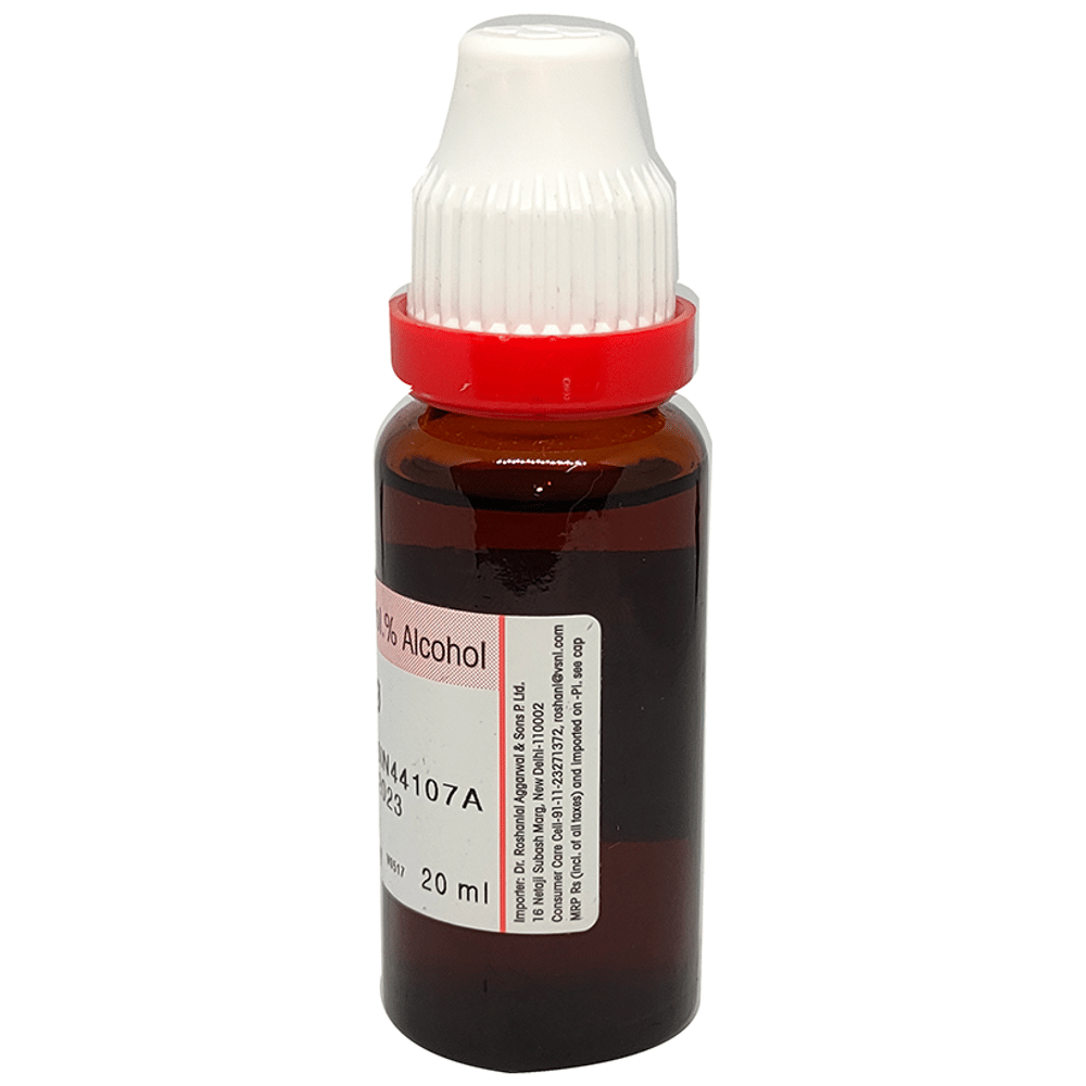 Dr. Reckeweg Viburnum Prunifolium Mother Tincture bottle of 20 ml Mother Tincture