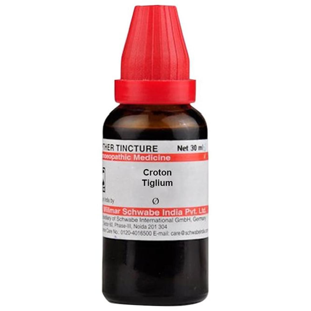 Dr Willmar Schwabe India Croton Tiglium Mother Tincture Q bottle of 30 ml Mother Tincture Dr Willmar Schwabe India Croton Tiglium Mother Tincture Q bottle of 30 ml Mother Tincture