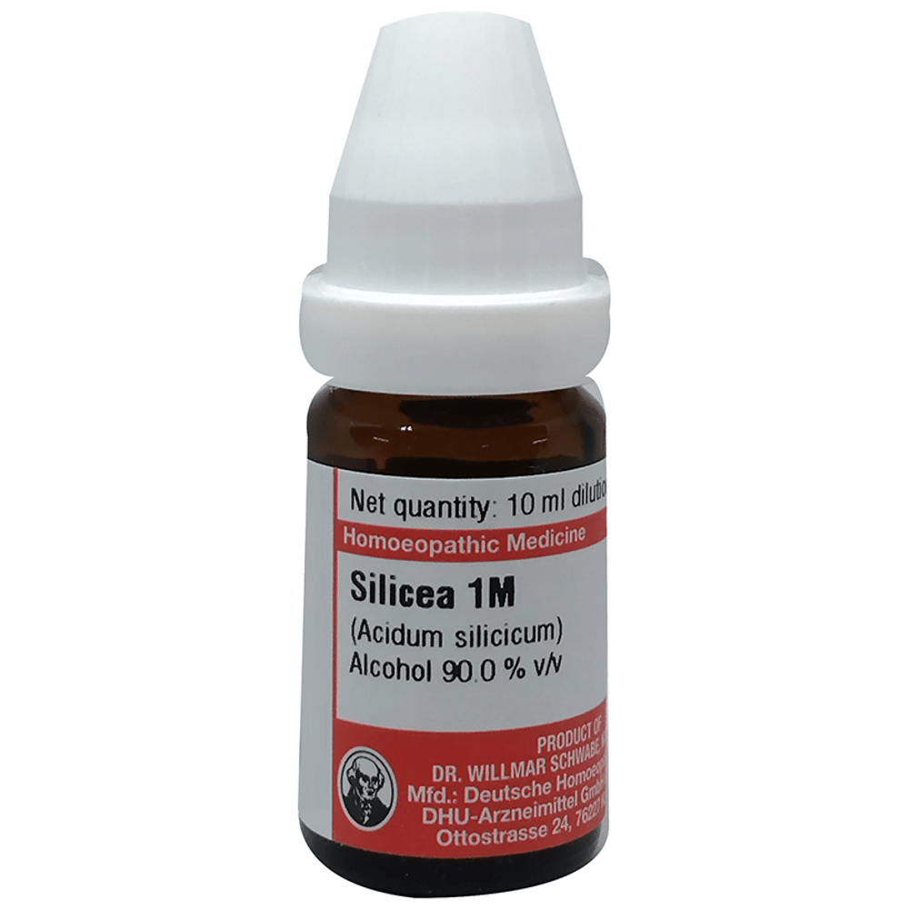 Dr Willmar Schwabe Germany Silicea Dilution 1M bottle of 10 ml Dilution