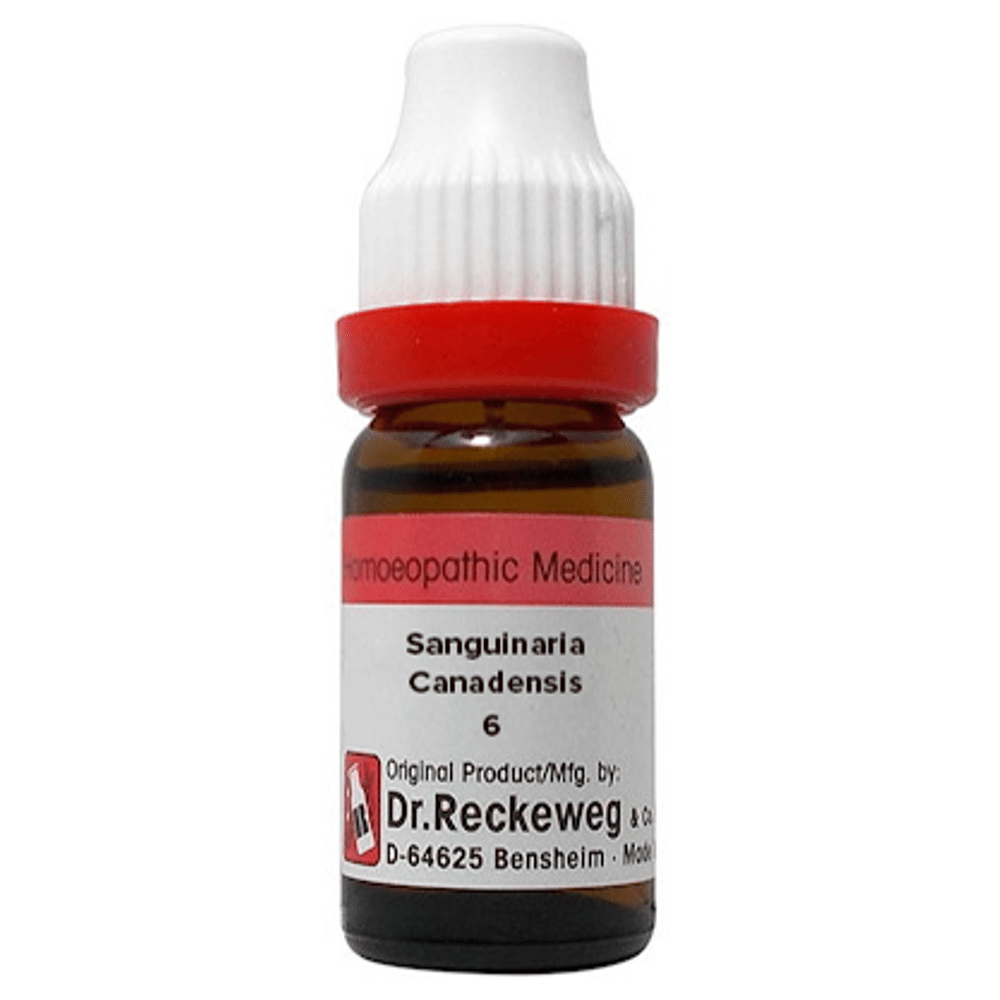 Dr. Reckeweg  Sanguinaria Canadensis Dilution 6 CH bottle of 11 ml Dilution