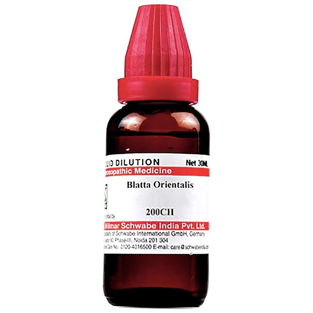 Dr Willmar Schwabe India Blatta Orientalis Dilution 200 CH bottle of 30 ml Dilution Dr Willmar Schwabe India Blatta Orientalis Dilution 200 CH bottle of 30 ml Dilution