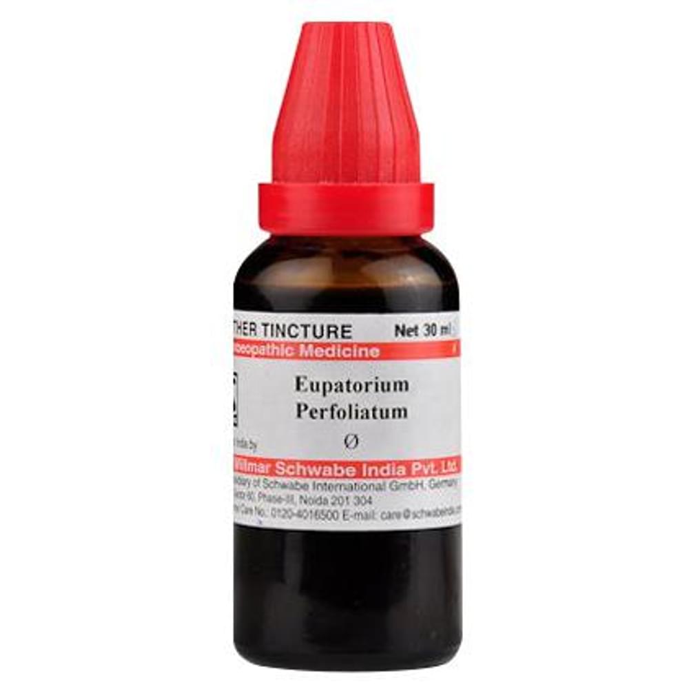 Dr Willmar Schwabe India Eupatorium Perfoliatum Mother Tincture Q bottle of 30 ml Mother Tincture Dr Willmar Schwabe India Eupatorium Perfoliatum Mother Tincture Q bottle of 30 ml Mother Tincture