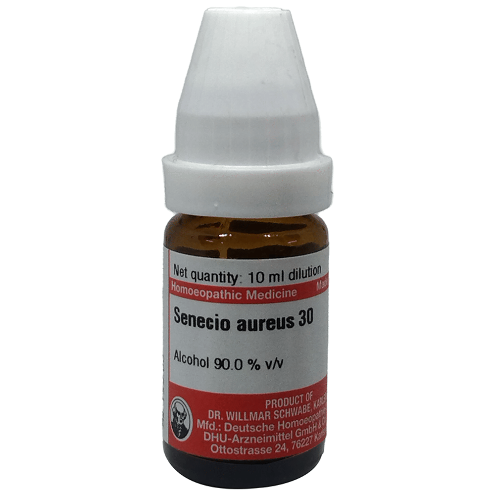 Dr Willmar Schwabe Germany Senecio Aureus Dilution 30 bottle of 10 ml Dilution