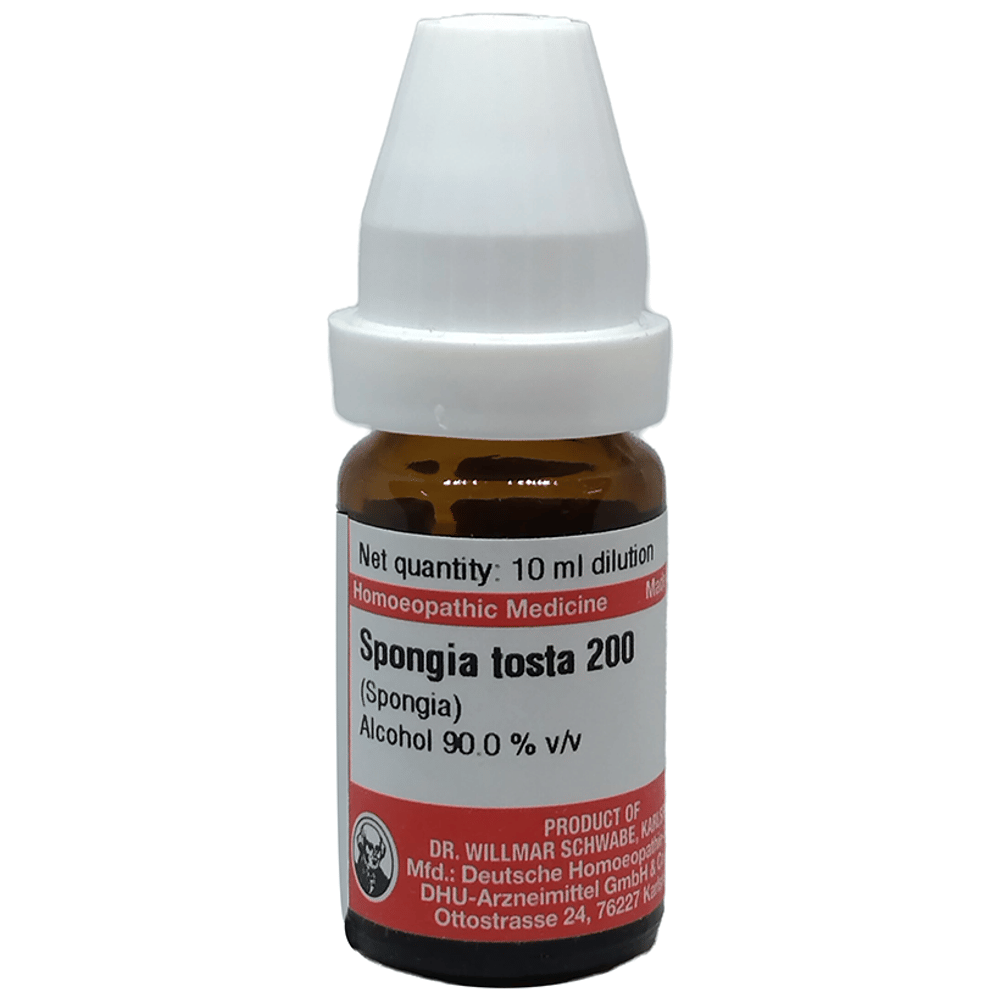Dr Willmar Schwabe Germany Spongia Tosta Dilution 200 bottle of 10 ml Dilution