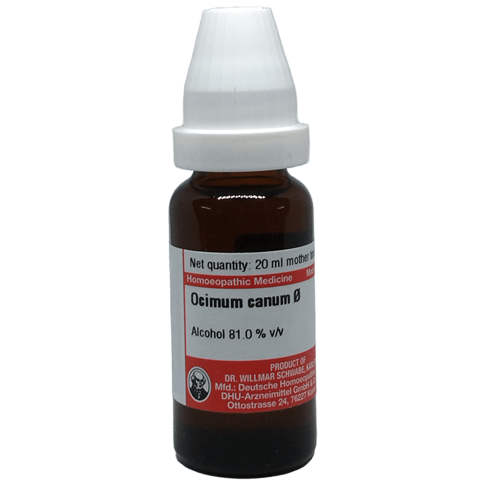 Dr Willmar Schwabe Germany Ocimum Canum  Mother Tincture Q bottle of 20 ml Mother Tincture