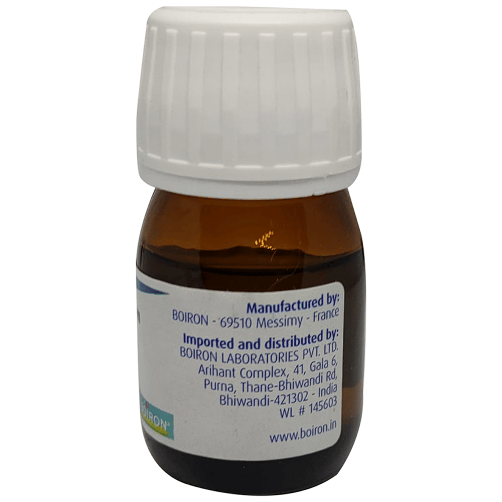 Boiron Bryonia Dilution 200C bottle of 20 ml Dilution