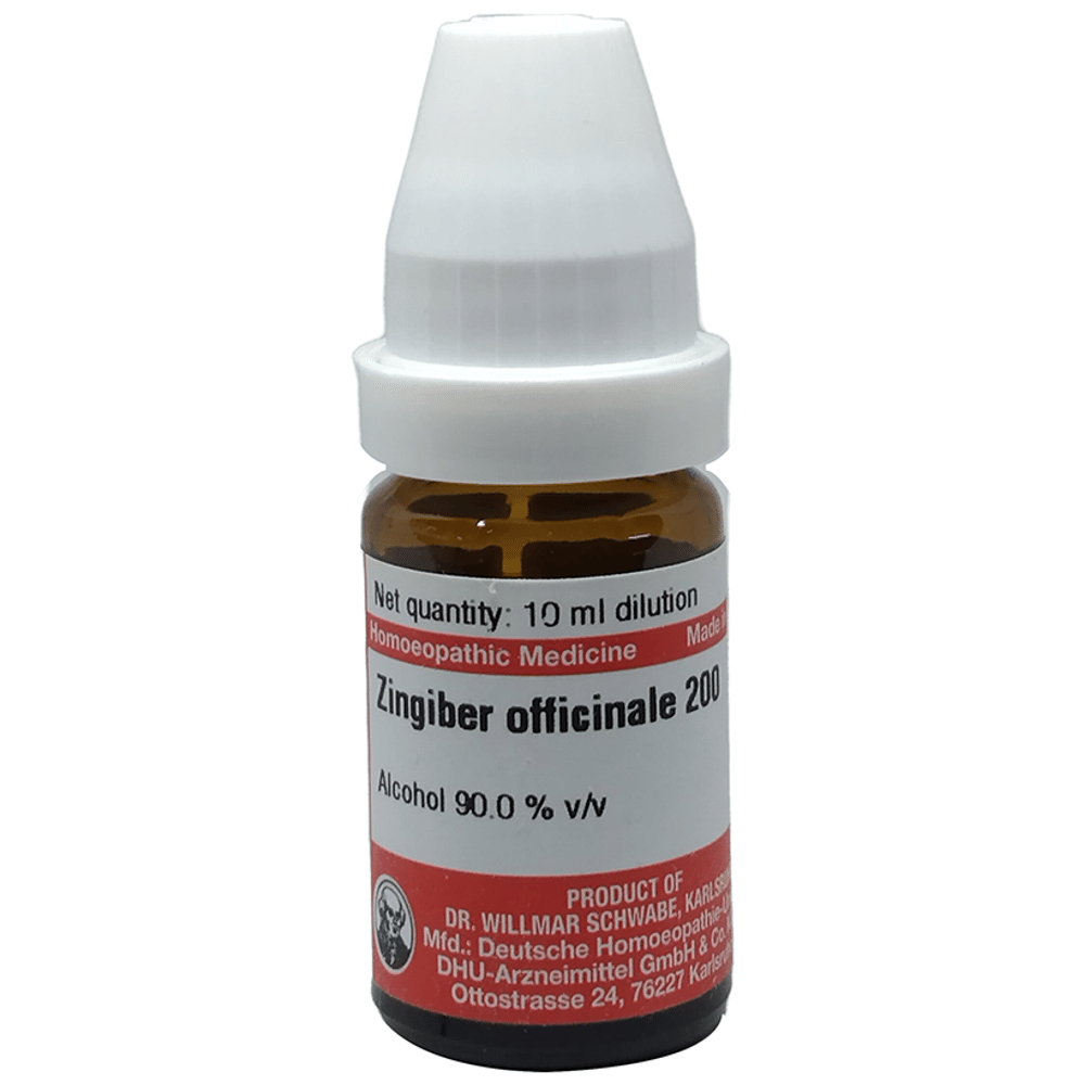 Dr Willmar Schwabe Germany Zingiber Officinale Dilution 200 bottle of 10 ml Dilution