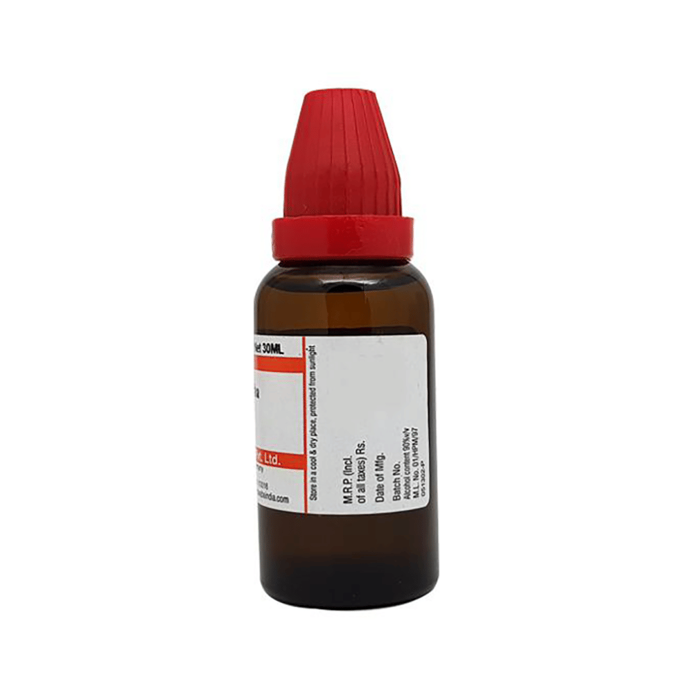 Combo Pack of Dr. Reckeweg Berberis Vul Mother Tincture Q & Dr. Reckeweg Hydrangea Mother Tincture Q (20ml Each) combo pack of 2 bottles Combo Pack of Dr. Reckeweg Berberis Vul Mother Tincture Q & Dr. Reckeweg Hydrangea Mother Tincture Q (20ml Each) combo pack of 2 bottles