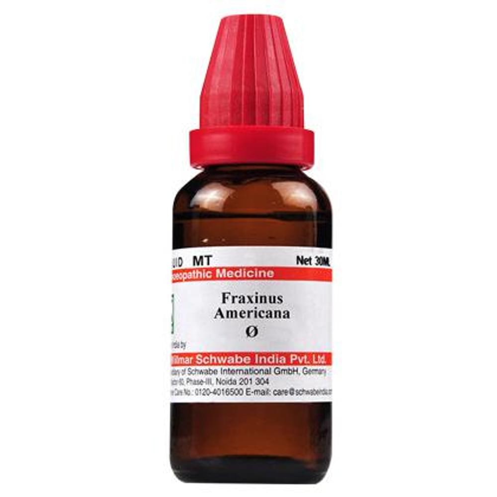 Dr Willmar Schwabe India Fraxinus Americana Mother Tincture Q bottle of 30 ml Mother Tincture Dr Willmar Schwabe India Fraxinus Americana Mother Tincture Q bottle of 30 ml Mother Tincture