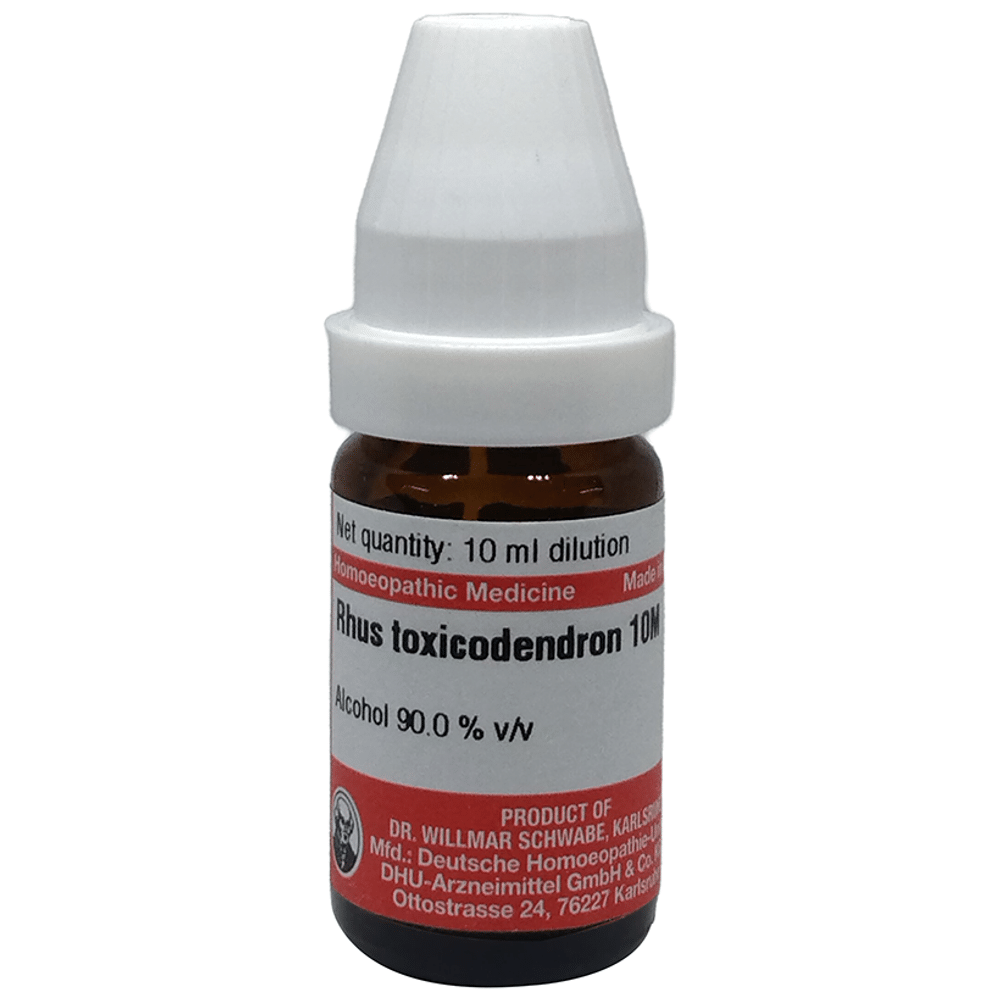 Dr Willmar Schwabe Germany Rhus Toxicodendron Dilution 10M bottle of 10 ml Dilution