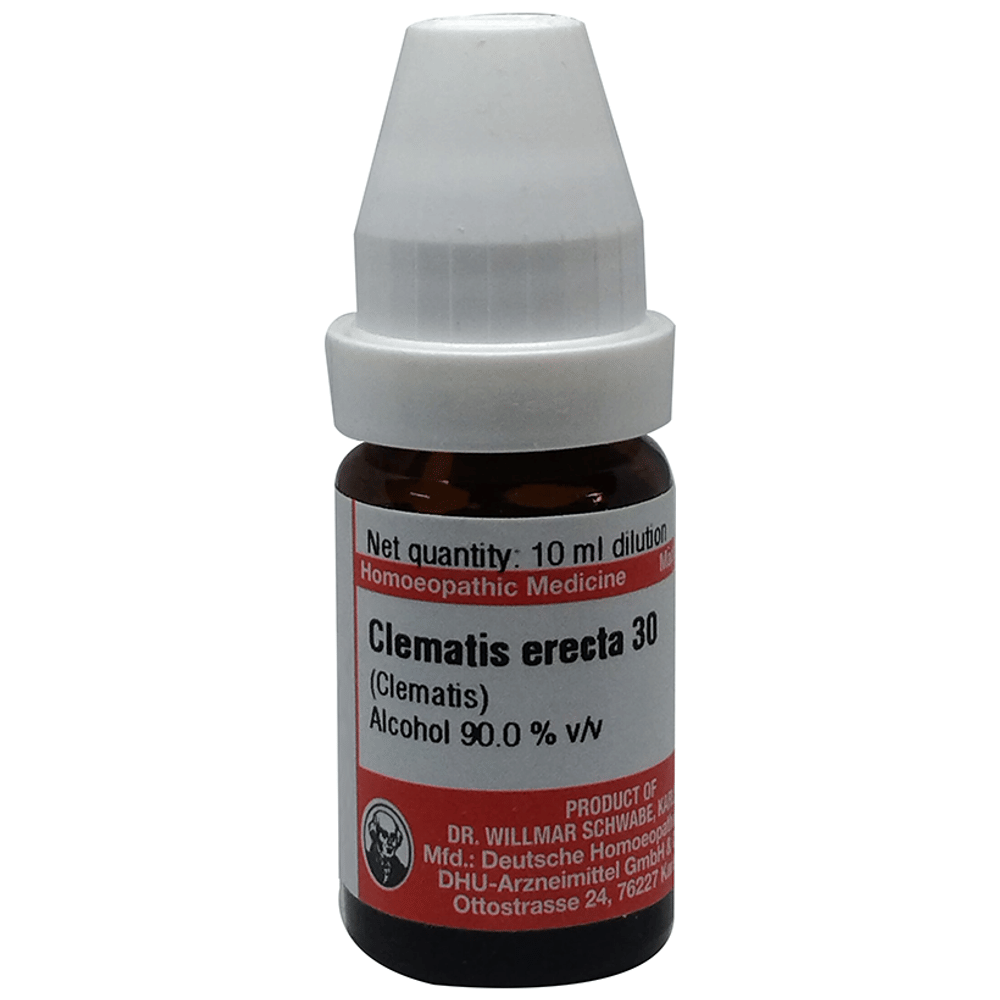 Dr Willmar Schwabe Germany Clematis Erecta Dilution 30 bottle of 10 ml Dilution
