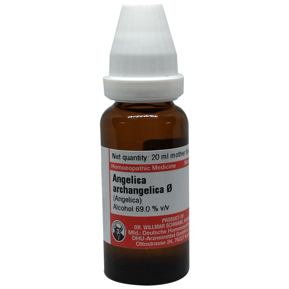 Dr Willmar Schwabe Germany Angelica Archangelica (Angelica) Mother Tincture Q bottle of 20 ml Mother Tincture Dr Willmar Schwabe Germany Angelica Archangelica (Angelica) Mother Tincture Q bottle of 20 ml Mother Tincture