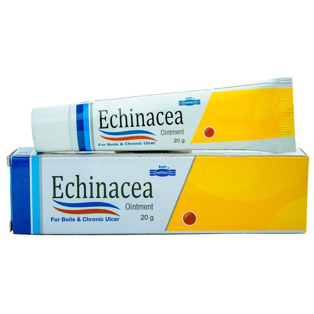 Hapdco Echinacea Ointment tube of 20 gm Ointment Hapdco Echinacea Ointment tube of 20 gm Ointment
