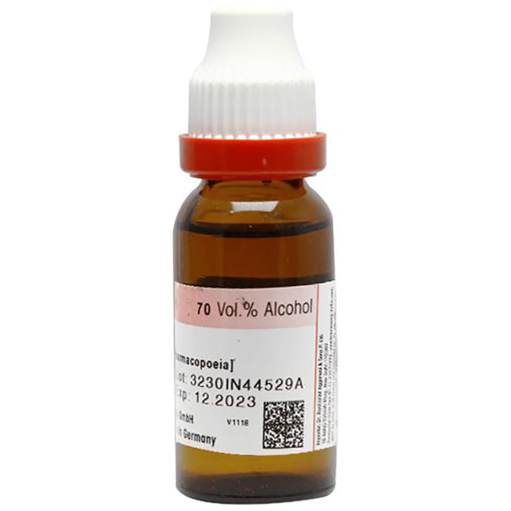 Dr. Reckeweg Damiana Mother Tincture Q bottle of 20 ml Mother Tincture