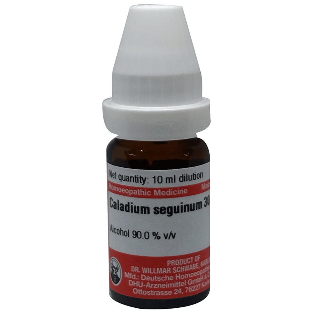 Dr Willmar Schwabe Germany Caladium Seguinum Dilution 30 bottle of 10 ml Dilution