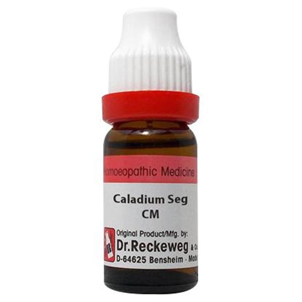 Dr. Reckeweg Caladium Seg Dilution CM CH bottle of 11 ml Dilution