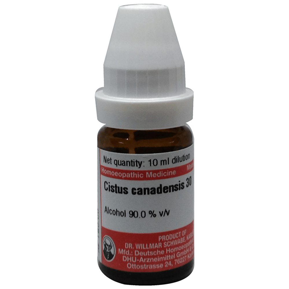 Dr Willmar Schwabe Germany Cistus Canadensis Dilution 30 bottle of 10 ml Dilution