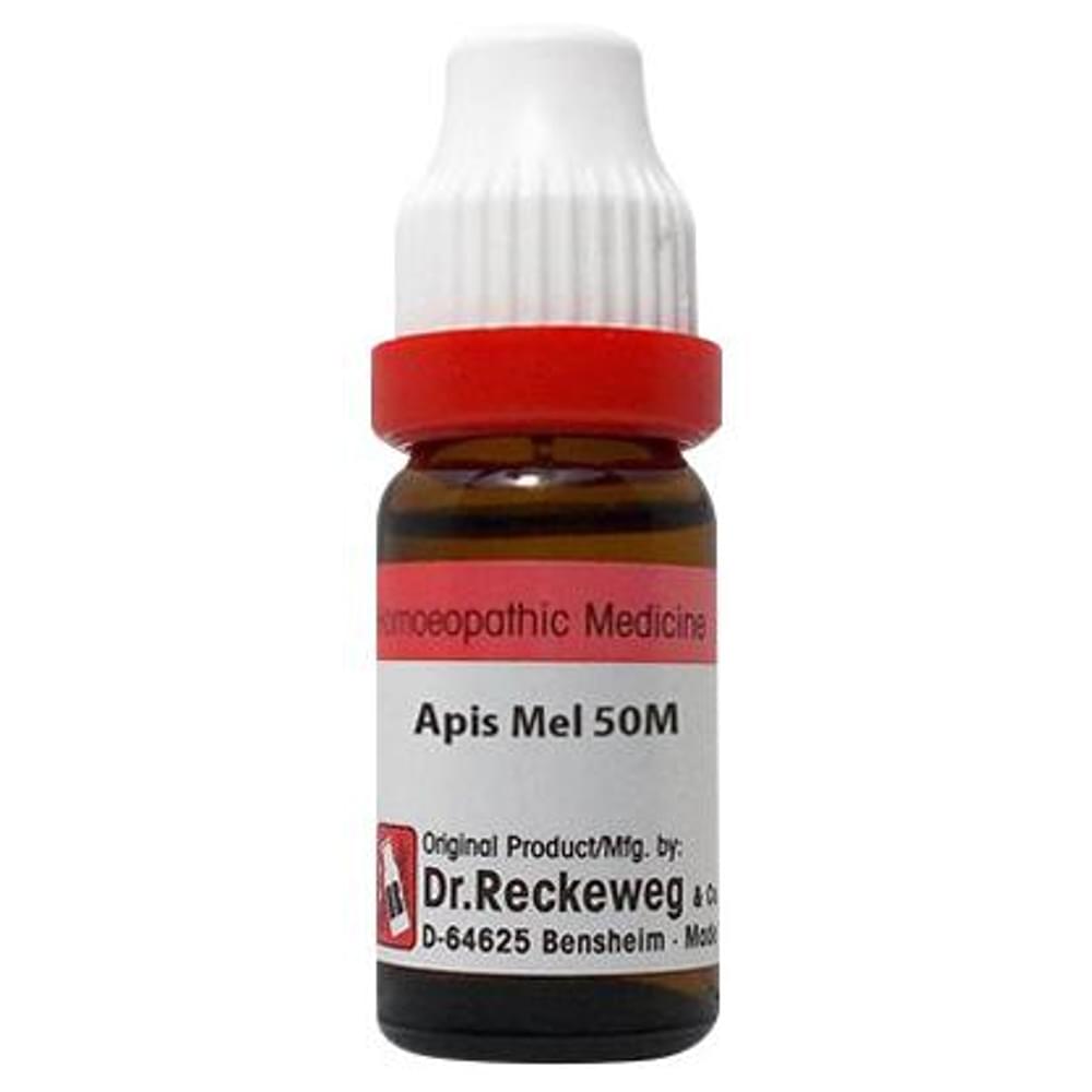 Dr. Reckeweg Apis Mell Dilution 50M CH bottle of 11 ml Dilution Dr. Reckeweg Apis Mell Dilution 50M CH bottle of 11 ml Dilution