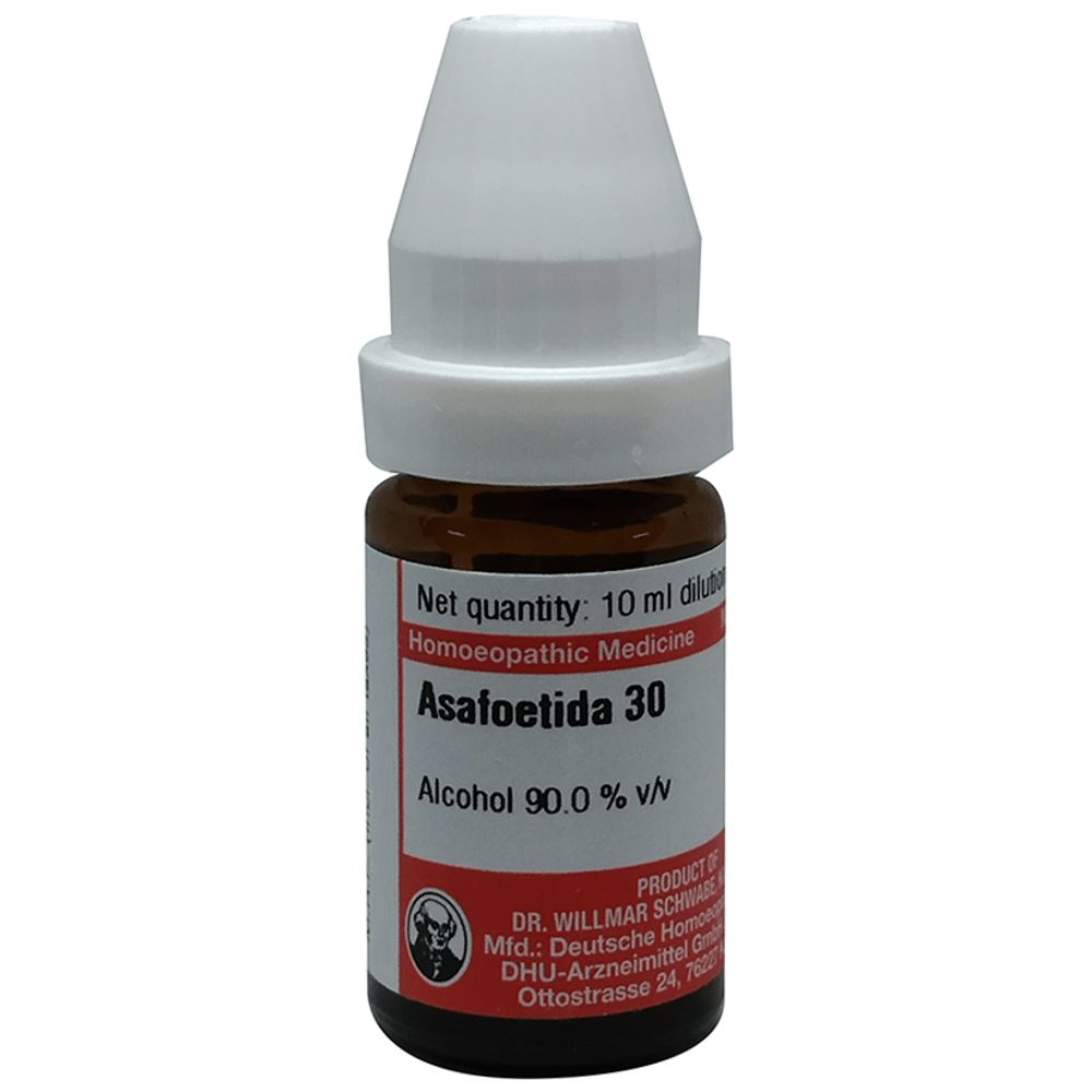 Dr Willmar Schwabe Germany Asafoetida Dilution 30 bottle of 10 ml Dilution