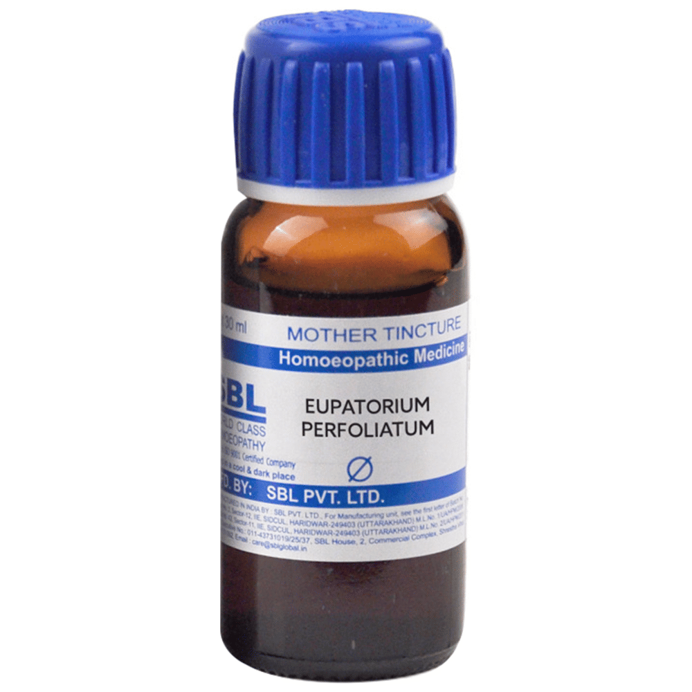 SBL Eupatorium Perfoliatum Mother Tincture Q bottle of 30 ml Mother Tincture