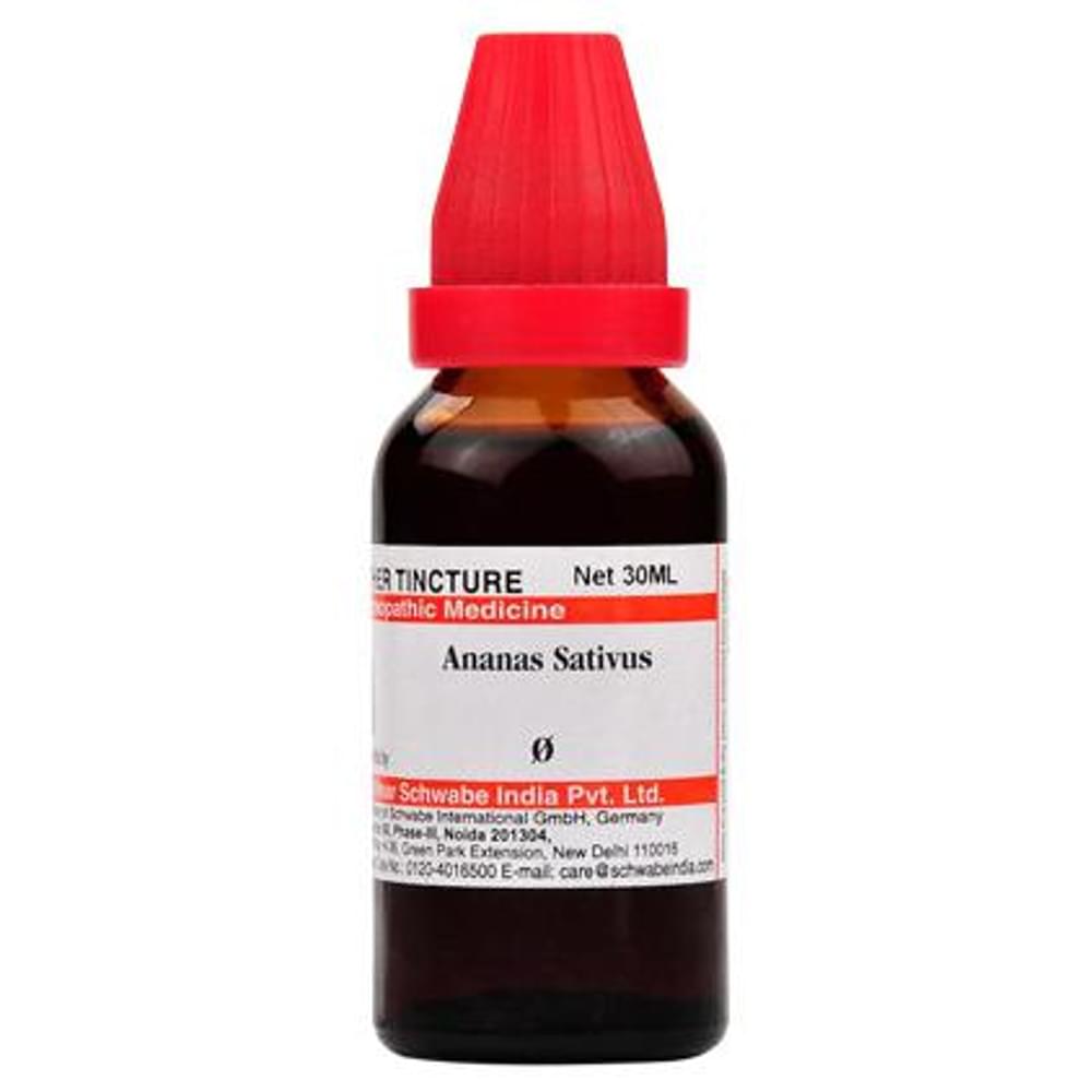 Dr Willmar Schwabe India Ananas Sativus Mother Tincture Q bottle of 30 ml Mother Tincture Dr Willmar Schwabe India Ananas Sativus Mother Tincture Q bottle of 30 ml Mother Tincture