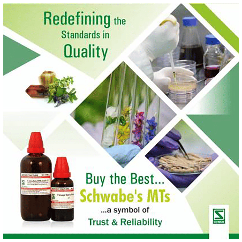 Dr Willmar Schwabe India Arnica Montana Mother Tincture Q bottle of 30 ml Mother Tincture Dr Willmar Schwabe India Arnica Montana Mother Tincture Q bottle of 30 ml Mother Tincture