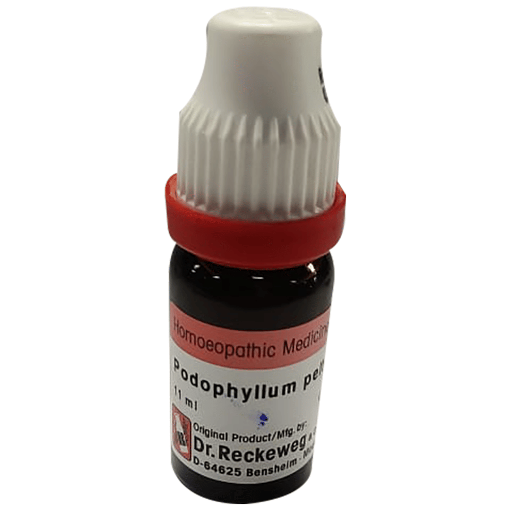 Dr. Reckeweg Podophyllum Peltatum Dilution 30 CH bottle of 11 ml Dilution Dr. Reckeweg Podophyllum Peltatum Dilution 30 CH bottle of 11 ml Dilution