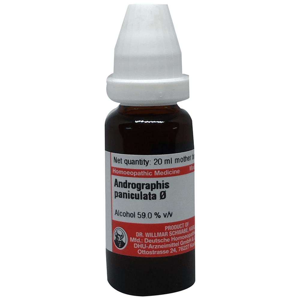 Dr Willmar Schwabe Germany Angelica Archangelica (Angelica) Mother Tincture Q bottle of 20 ml Mother Tincture