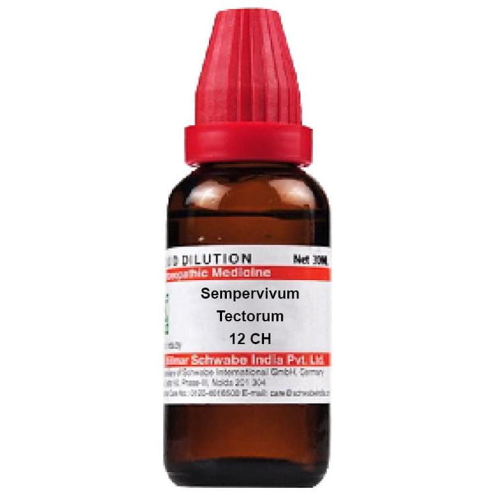 Dr Willmar Schwabe India Sempervivum Tectorum Dilution 12 CH bottle of 30 ml Dilution Dr Willmar Schwabe India Sempervivum Tectorum Dilution 12 CH bottle of 30 ml Dilution