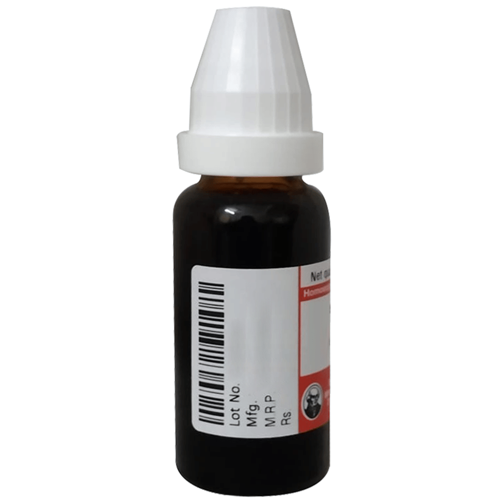 Dr Willmar Schwabe Germany Gelsemium Sempervirens Dilution 10M bottle of 10 ml Dilution