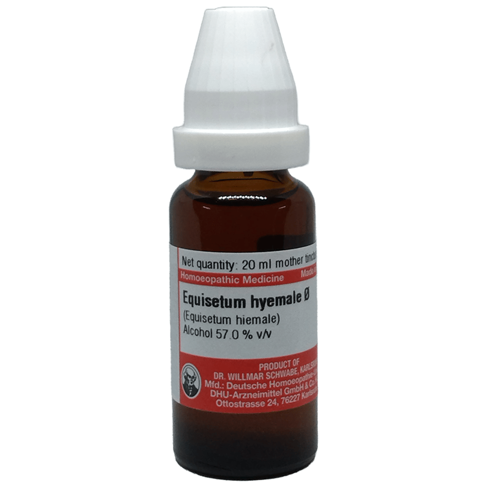 Dr Willmar Schwabe Germany Equisetum Hyemale  Mother Tincture Q bottle of 20 ml Mother Tincture