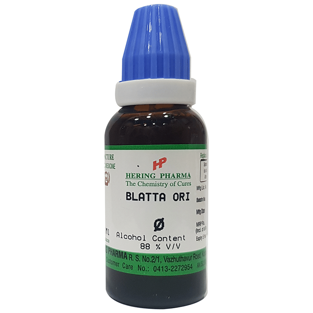 Hering Pharma Blatta Ori Mother Tincture Q bottle of 30 ml Mother Tincture
